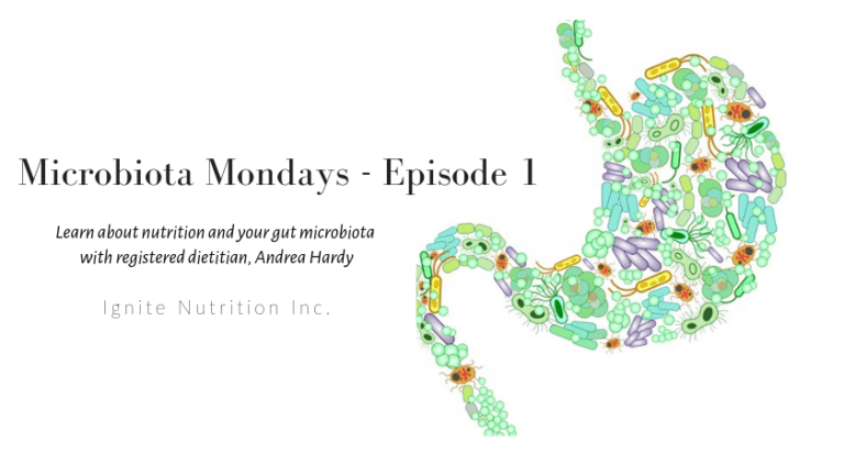 Andrea Hardy, Registered Dietitian and gut health expert talks about what the gut microbiota is, what it does for us and how we can take care of our gut microbiota.