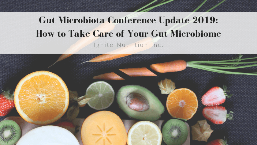Gut Microbiota Conference Update 2019 – How to Take Care of Your Gut Microbiota Featured Image